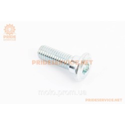 Болт кріплення гальмівного диска M8x25mm (під шестигранник) (328532) Болт кріплення гальмівного диска M8x25mm (під шестигранник) (328532)