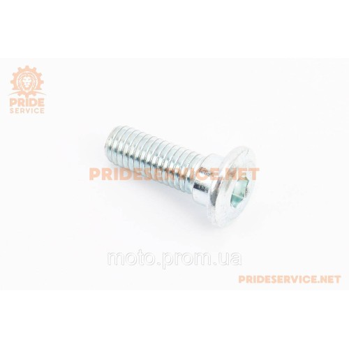 Болт кріплення гальмівного диска M8x25mm (під шестигранник) (328532)