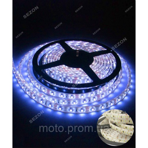 LED стрічка 12V 5м, синій