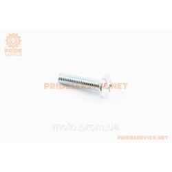 Болт M6x25 (під викрутку +)