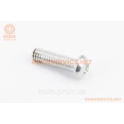 Болт M6x20мм (під викрутку + )