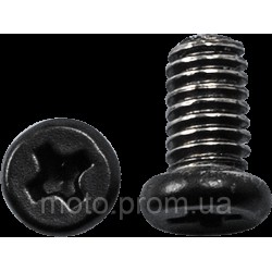 Гвинти захистні LS2 SCREWS RATCHET FF352/384
