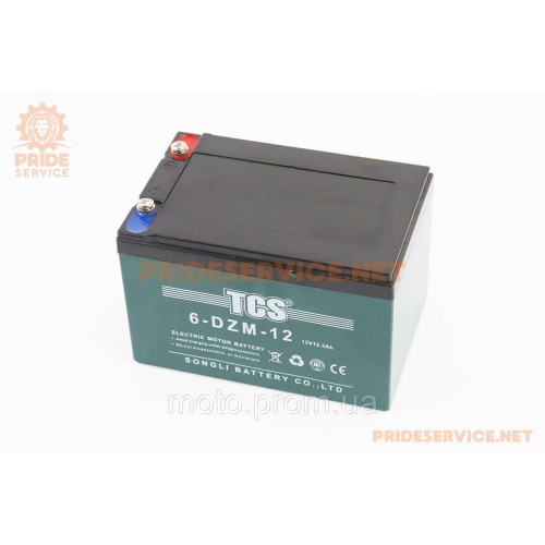 Акумулятор 12V12Ah 6DZM-12 кислотний (L150*W101*H99мм) для ДБЖ, іграшок та ін.