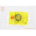 Подшипник 6005 2RS (25x47x12) коленвала BWS