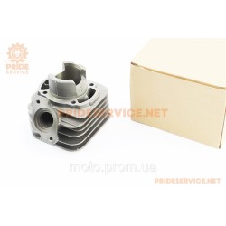 Циліндр (голий) Honda DIO AF27 50cc-39мм (AF18, AF25, AF28 DIO; AF24, AF30, AF31, AF51 TACT; LEAD20; FIT) Циліндр (голий) Honda DIO AF27 50cc-39мм (AF18, AF25, AF28 DIO; AF24, AF30, AF31, AF51 TACT; LEAD20; FIT)