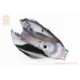 Loncin JL200-68A Бак топливный, чёрный