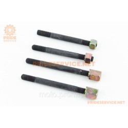 Шпильки головки циліндра М10x105mm-2шт, М10x118mm-2шт 186F + гайки 4 шт., к-кт Шпильки головки циліндра М10x105mm-2шт, М10x118mm-2шт 186F + гайки 4 шт., к-кт