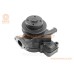 Насос водяний TY2100 DongFeng, Xingtai 220/224, Jinma