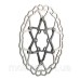 Ротор гальмівний Ashima AiNeon 160 mm [Black]