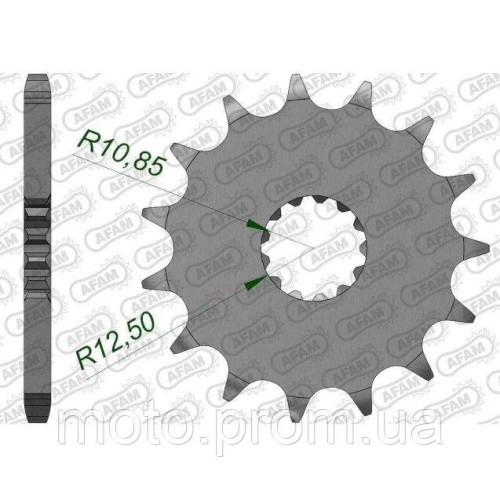 Зірка AFAM Shaft Sprocket 525 17z