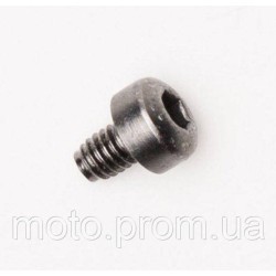 BUCKLE SCREWS [Silver] No Size