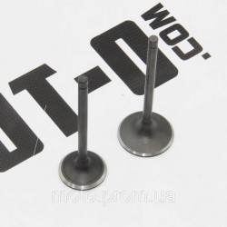 Клапана (впуск+выпуск) 172FMM Shineray XY250GY-6B Клапана (впуск+выпуск) 172FMM Shineray XY250GY-6B