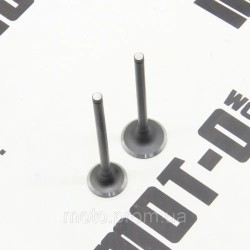 Клапана (впуск+выпуск) 171FMM KOVI 250-4Т (FE250 ADVANCE) Клапана (впуск+выпуск) 171FMM KOVI 250-4Т (FE250 ADVANCE)
