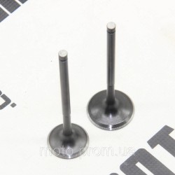 Клапана (впуск+выпуск) KOVI 300-4Т (NB300 LITE) Клапана (впуск+выпуск) KOVI 300-4Т (NB300 LITE)