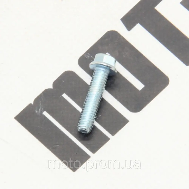 Болт М6*25 (крышки головки) ATV SharX 300сс