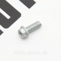 Болт М6*16 (гальмівного диска) KOVI NC250-4T PRO
