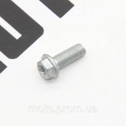 Болт М6*16 (торм. диска) KOVI NC250-4T PRO