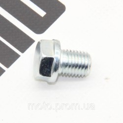 Болт М12*1,5 сливного отверстия масла 171FMM TEKKEN 250