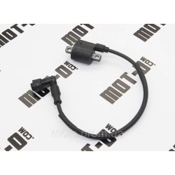 Катушка зажигания 166FMM TEKKEN 250 Катушка зажигания 166FMM TEKKEN 250