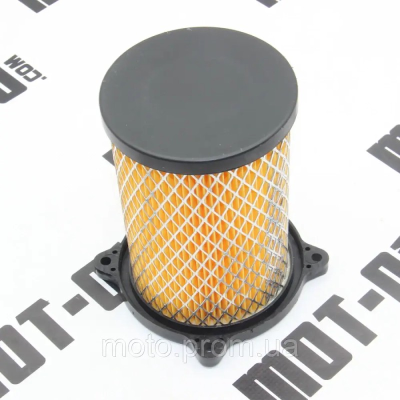 Елемент повітряного фільтра XY250GY-15С (Tricker)