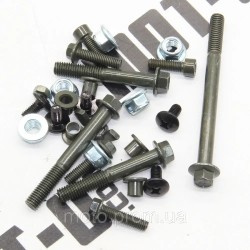 Комплект болтів (малий) Shineray XY200GY-6С Комплект болтів (малий) Shineray XY200GY-6С