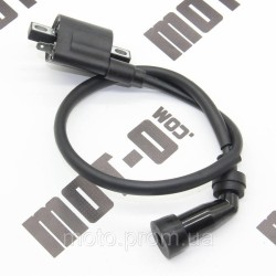 Катушка зажигания RTS250-N (Xtreet 250)