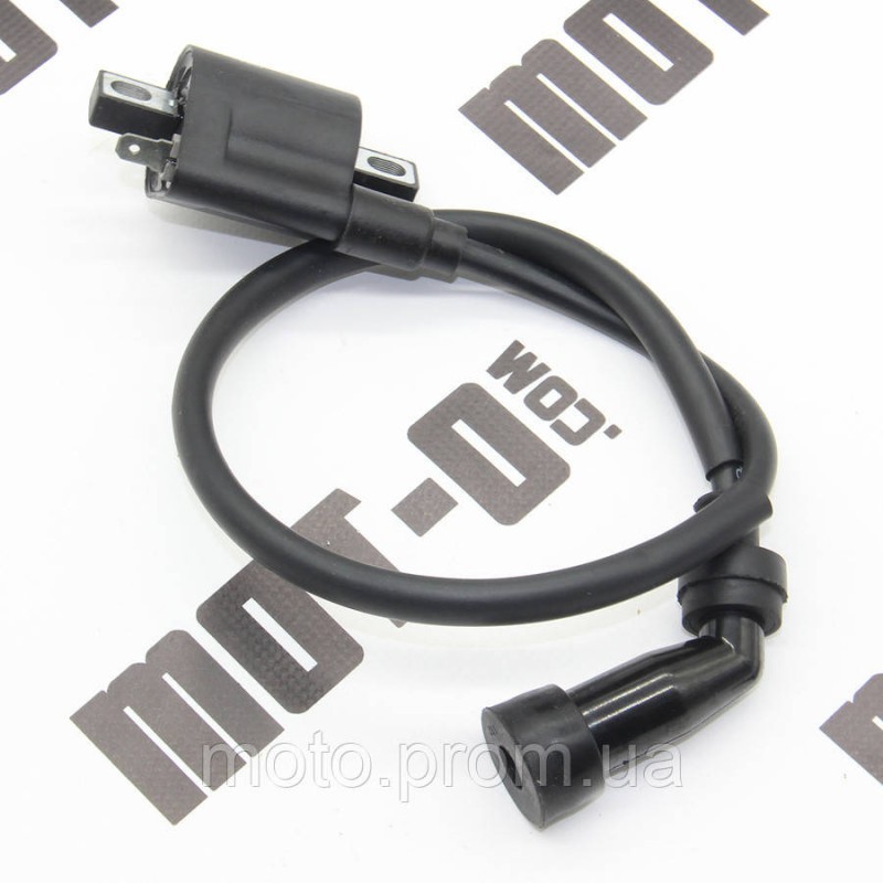 Катушка зажигания RTS250-N (Xtreet 250)