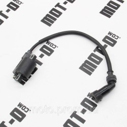 Катушка зажигания XY200-24 (DS200) Катушка зажигания XY200-24 (DS200)