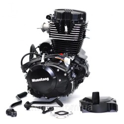 Двигун у зборі 162FMJ-2 МТ150-8 REGION