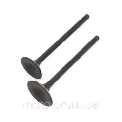 Клапана (впуск+выпуск) Shineray XY200GY-4 Клапана (впуск+выпуск) Shineray XY200GY-4