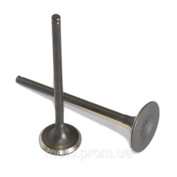 Клапана (впуск+выпуск) Shineray XY250-3A (Z1) Клапана (впуск+выпуск) Shineray XY250-3A (Z1)