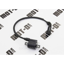 Катушка зажигания XY250GY-15С (Tricker)