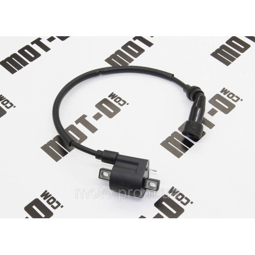 Катушка зажигания XY250GY-15С (Tricker)