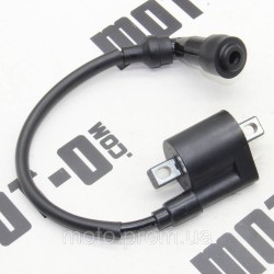 Катушка зажигания XY300GY-6C (VXR 300) Катушка зажигания XY300GY-6C (VXR 300)