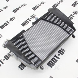 Радіатор охолодження KOVE KY321 (Streetbike NK321R) Радіатор охолодження KOVE KY321 (Streetbike NK321R)
