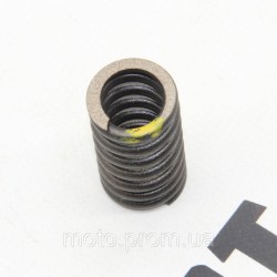 Пружина клапана (1шт) KOVI 300-4T (NB300-F ADVANCE) Пружина клапана (1шт) KOVI 300-4T (NB300-F ADVANCE)
