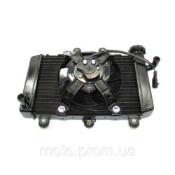 Радіатор охолодження Lifan LF250-3R