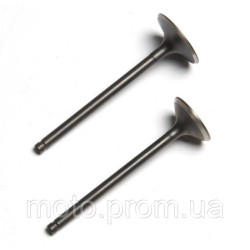 Клапана (впуск+выпуск) 169FMM Shineray XY250GY-6B Клапана (впуск+выпуск) 169FMM Shineray XY250GY-6B