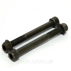 Гвинт M10×1.25×90+Гайка M10×1.5 (верхній гвинт кріплення заднього амортизатора) Shineray XY250GY-6B