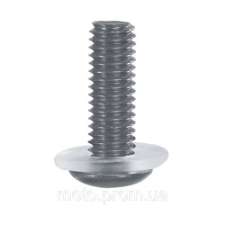 Гвинти вітрового скла Oxford Screen Screw - Silver
