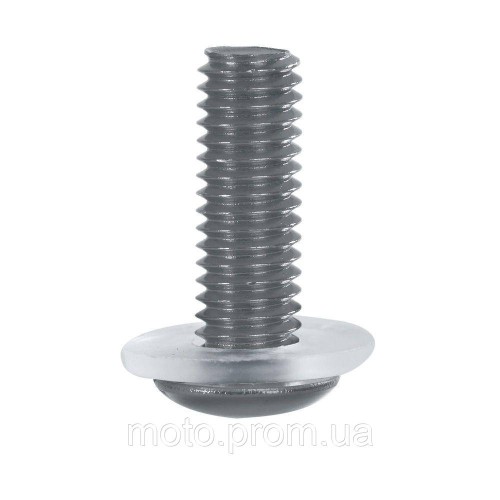 Гвинти вітрового скла Oxford Screen Screw - Silver