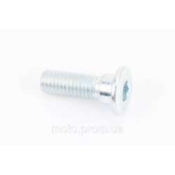 Болт кріплення гальмівного диска M8x25mm (під шестигранник) тип 1