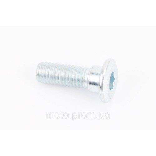 Болт кріплення гальмівного диска M8x25mm (під шестигранник) тип 1