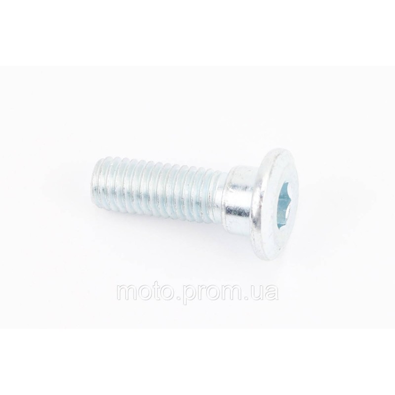 Болт кріплення гальмівного диска M8x25mm (під шестигранник) тип 1