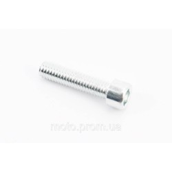 Болт M6x25