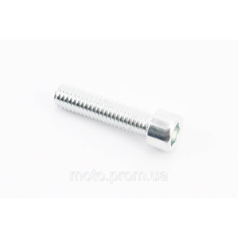 Болт M6x25