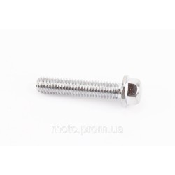 Болт M6x30mm (під ключ)