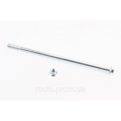 Вісь маятника d10mm; L250mm + гайка