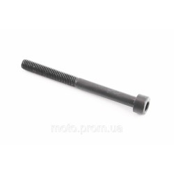 Болт кріплення карбюратора М5x55
