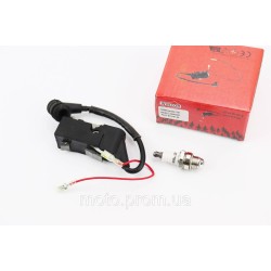 Котушка запалювання 4500/5200/5800 + свічка Котушка запалювання 4500/5200/5800 + свічка
